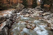 2014-11-032976.JPG