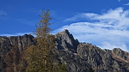 2014-11-032984.JPG