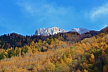 2014-11-032987.JPG