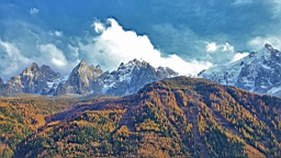 2014-11-033006.JPG