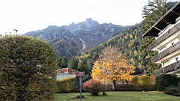 2014-11-033007.JPG