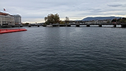 2014-11-043029.JPG