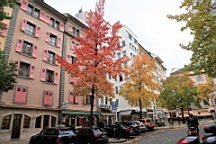 2014-11-043034.JPG