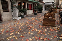 2014-11-043035.JPG