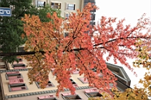 2014-11-043037.JPG