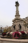 2014-11-043039.JPG
