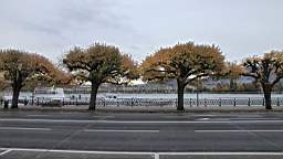 2014-11-043044.JPG
