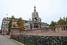 2014-11-043046.JPG