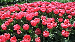 2016-04-20--06542.JPG