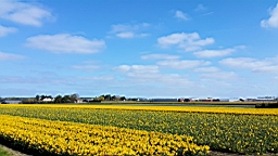 20160420_155014.jpg