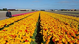 20160420_160437.jpg
