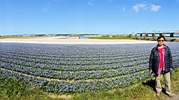 20160420_183726.jpg