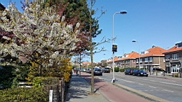 20160420_185500.jpg