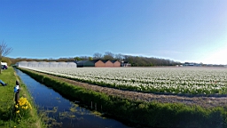 20160420_233331.jpg