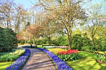 2016-04-21--06594.JPG