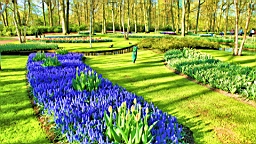 2016-04-21--06607.JPG