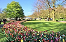 2016-04-21--06630.JPG
