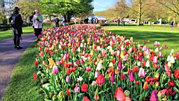 2016-04-21--06631.JPG
