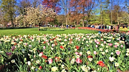 2016-04-21--06650.JPG