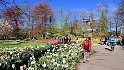 2016-04-21--06656.JPG