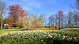 2016-04-21--06664.JPG