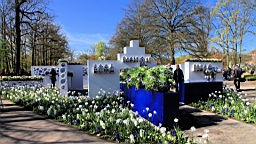 2016-04-21--06667.JPG