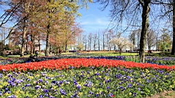2016-04-21--06672.JPG