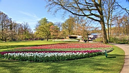 2016-04-21--06675.JPG