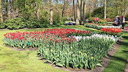 2016-04-21--06693.JPG
