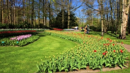 2016-04-21--06712.JPG