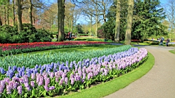 2016-04-21--06716.JPG