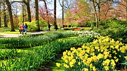 2016-04-21--06721.JPG
