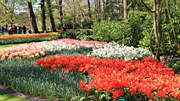 2016-04-21--06730.JPG