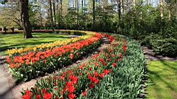 2016-04-21--06736.JPG