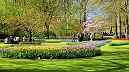 2016-04-21--06750.jpg