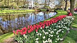 2016-04-21--06752.jpg