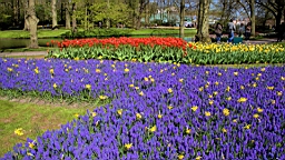 2016-04-21--06761.jpg