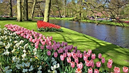 2016-04-21--06766.jpg