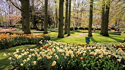 2016-04-21--06771.JPG