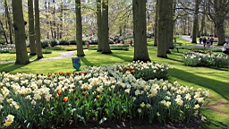 2016-04-21--06772.JPG