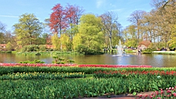 2016-04-21--06775.JPG