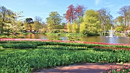 2016-04-21--06776.JPG