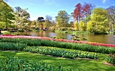 2016-04-21--06777.jpg