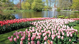 2016-04-21--06781.JPG