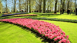 2016-04-21--06787.jpg