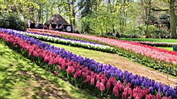 2016-04-21--06788.jpg