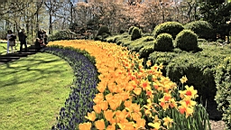 2016-04-21--06800.JPG