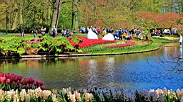 2016-04-21--06807.JPG