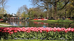 2016-04-21--06808.JPG