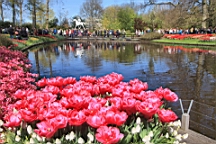 2016-04-21--06814.JPG